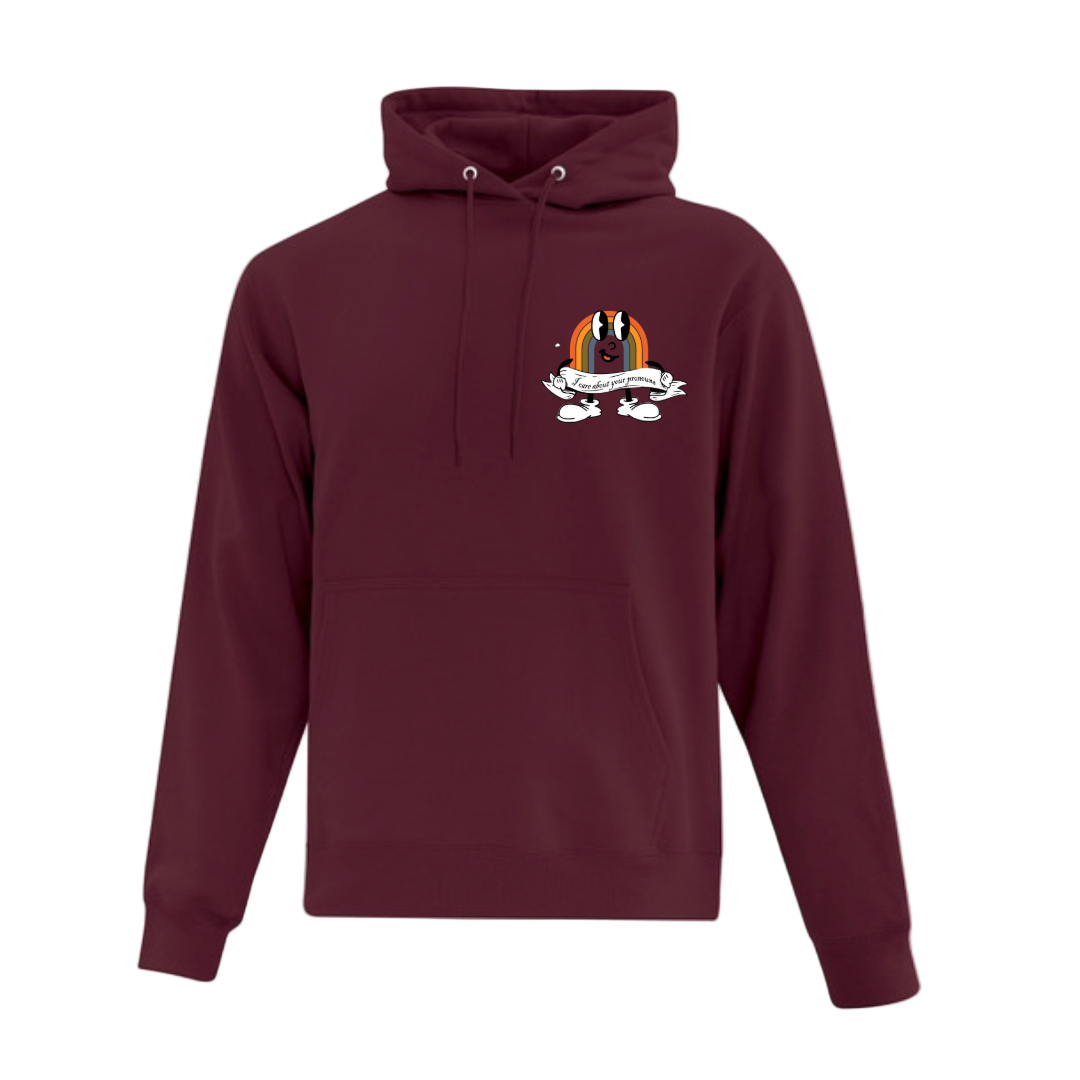 Hoodie - I Care About Your Pronouns