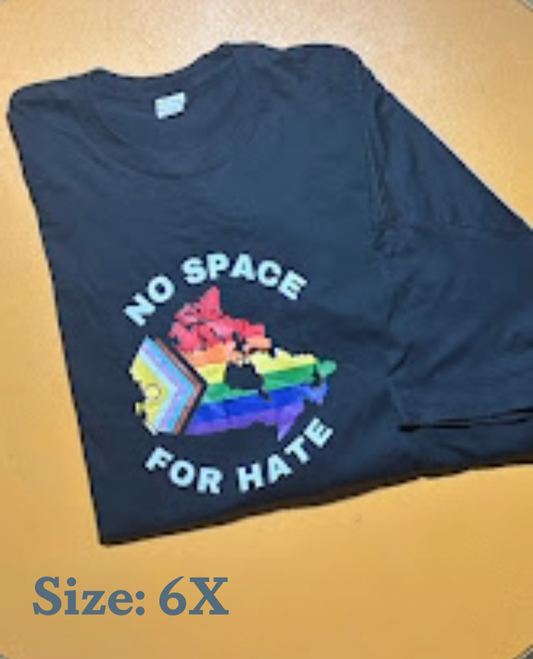 CLEAROUT Tees SIZE 6X