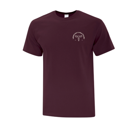Maroon t-shirt with a white logo that says "Abortion is Healthcare"