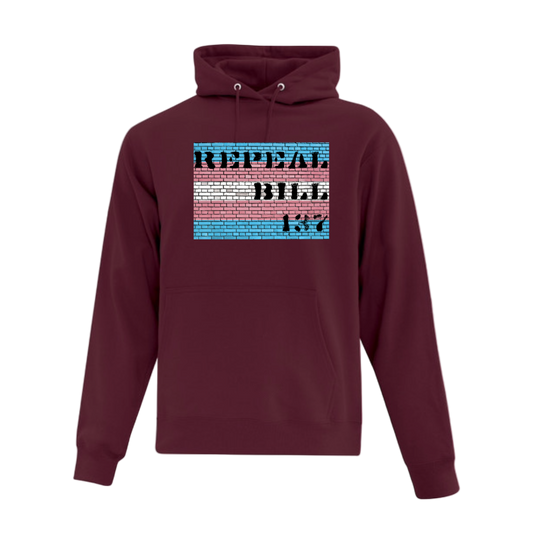 Hoodie - Repeal Bill 137